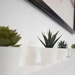 Lika Casa de hóspedes